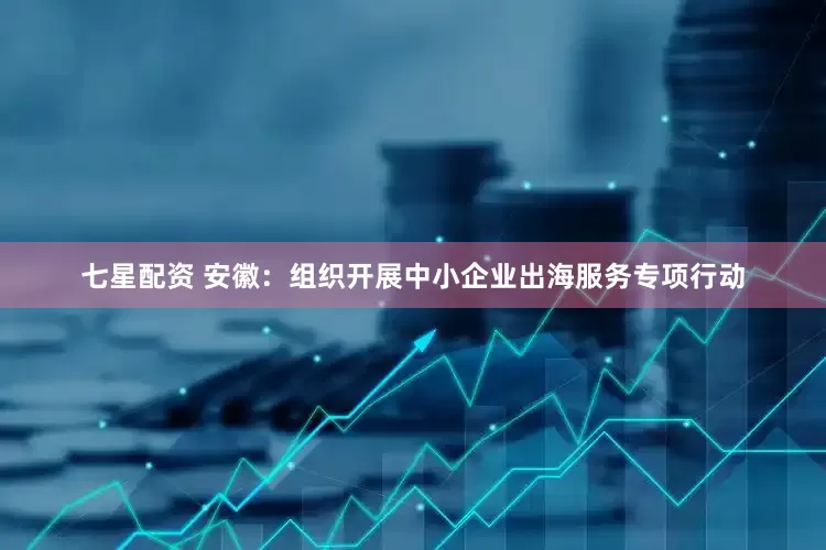 七星配资 安徽：组织开展中小企业出海服务专项行动