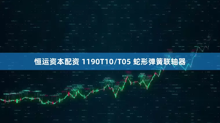 恒运资本配资 1190T10/T05 蛇形弹簧联轴器