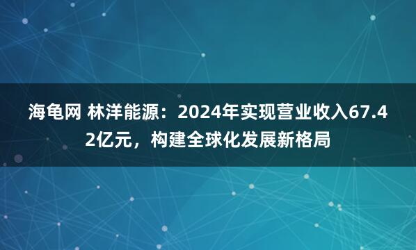 海龟网 林洋能源:2024年实现营业收入67.42亿元,构建全球化发展新格局