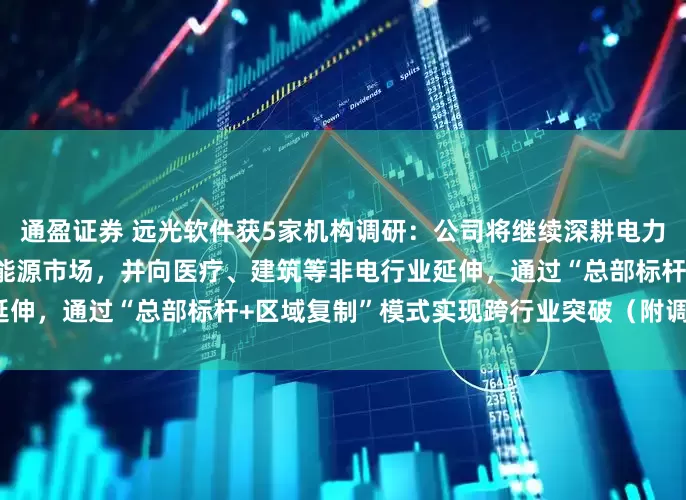 通盈证券 远光软件获5家机构调研：公司将继续深耕电力行业，拓展发电集团及地方能源市场，并向医疗、建筑等非电行业延伸，通过“总部标杆+区域复制”模式实现跨行业突破（附调研问答）